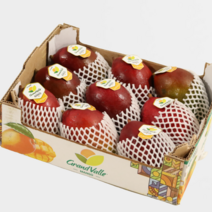 [항공수입제품] 프리미엄 애플망고 항공수입 망고 선물세트, 1박스, 애플망고 특대 2kg내외 (4~6과)