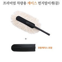 차량용 먼지떨이개 자동차 먼지털이개 케이스 가방/벨로스터 스토닉 스팅어 세차용품, 중 타입