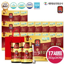 대한홍삼진흥공사 고려천년의빛 홍삼정 + 쇼핑백, 250g, 34개입