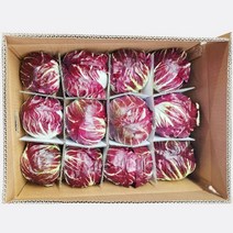 라디치오 12통 1박스 4kg, 1개