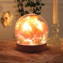 핑크 카네이션 그레이스돔 LED 무드등, 핑크+선물포장+용돈봉투