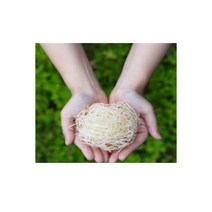편백나무(히노끼) 울 완충제 피톤치드 고급선물 포장 100g 내가 만드는 편백나무 용품 친환경