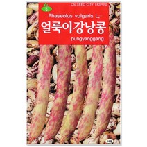 콩류/황기 씨앗 택1 (황기 홍화 백작두콩 얼룩이강낭콩 적작두콩 스파클완두), 103번 얼룩이강낭콩 70립