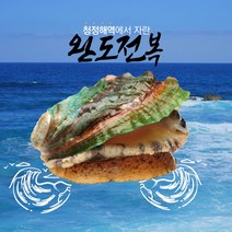 명절선물용 전복선물 완도산 9-10미 1k 선물용 완도활전복 참전복 고급전복 다양한요리
