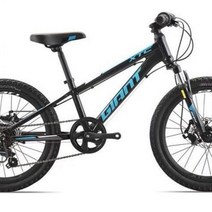 명품 자이언트 XTC20-D인치 청소년 학생 어린이 디스크 브레이크 가변 속도 산악 자전거, 7 개 속도, 화이트, 7 개 속도