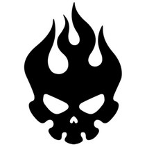 D22 FIRE SKULL 불꽃 해골 스티커 (낱개 1개) _ 2231109EA, 블루