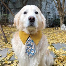 대형견 중형견 타액 수건 스카프 넥타이 턱받이 빨강 노랑 리트리버 도베르만, XL, 옐로우