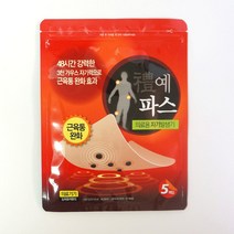 예파스(YEPAS-1) 의료용 자기발생기 근육통완화(5매입)