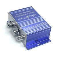 미니 스테레오 앰프 하이파이 12v 자동 자동차 파워 앰프 스테레오 오디오 앰프, 파란, 02 파란