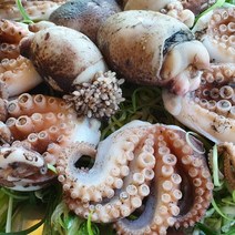 급냉 알주꾸미 1kg (8-10 미내외), 1개