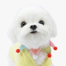 보니또크루 강아지 꼬깔콘 케이프 반다나 목걸이, ONE SIZE