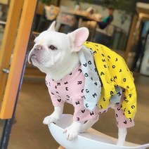 골든독 알파벳올인원 M-5XL 프렌치불독 웰시코기 퍼그 닥스훈트 시바견 중형견 대형견 착용가능 올인, 옐로우