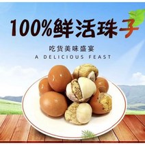 월월중국식품 토나이나이 살아있는 구슬(훠주즈) 오향맛 (40g*20개입)