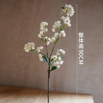센픽 조화 버터플라이꽃 갈대 양귀비 미니 꽃다발 폼폼국화 42 동백꽃 버들강아지 자작나무가지, 카시아롱가 흰색