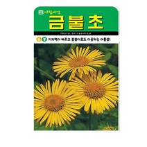 SN월드 야생화 씨앗 꽃씨앗 모음, 야생화 - 금불초(500립)