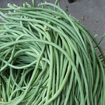 보령댐 줄콩, 1박스, 1kg