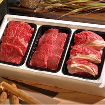 1++ 한우 선물세트 600g 꽃등심 갈비살 채끝, 1