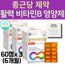 종근당 비타민B 수용성 b1 b2 b6 b12 컴플렉스 6개월 활성 에너지 비티민비 엽산 판토텐산 나이아신 비오틴 알약통 사음품 증정, 60정, 3개