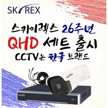 스카이렉스 QHD 초고화질 하이브리드 매장&가정용CCTV 케이블30M 풀세트 실내외겸용, 고급형 실내1개(전용 케이블 30M+아답터)