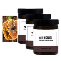 상황버섯 분말 차 국내산 뽕나무 상황버섯 가루 물 100% 효능 먹는방법 100g 3통