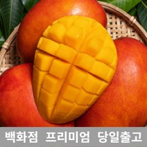 [특등급선별] 애플망고 2kg 제주애플망고 제주도애플망고 제주망고 애플망고선물세트 제주산애플망고 망고선물세트 애플망고선물 과일 과일종류 제철과일 겨울과일 망고쇼핑몰 과일선물 레드망
