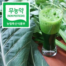 직거래농민장터 무농약 케일 신선초 친환경 녹즙용, 1box, 무농약 케일 1봉지+신선초 1봉지