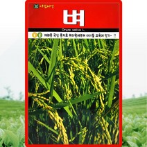 벼 씨앗 벼씨 국산 재래종 종자 20g, 1개