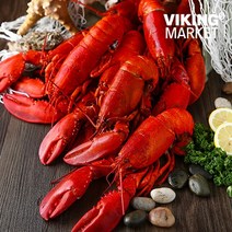 [바이킹마켓][무료배송] 항공 직송 자연산 캐나다 자숙 랍스터 4.54kg 1박스 (사이즈 6종 택1), BOX, 350-400
