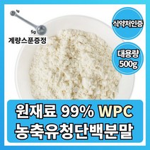 농축 유청 단백질 분말 WPC 식약처인증 보충제 프로틴 가루 대용량 500g 순수유청단백, 500g/계량스푼증정, 1개