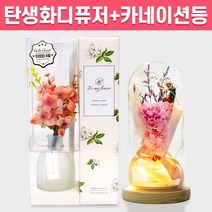 탄생화 디퓨저 선물 세트 4월 탄생화 벚꽃 + 카네이션 무드등 어버이날 부모님 선생님 엄마 장모님 생일 집들이 프리저브드 플라워 결혼 선물 실내 방향제 디퓨져, 유칼립투스, 핑크, 120ml