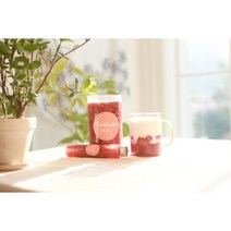 홈카페 에이드 차 지니슈슈 수제청 과일청 미니 선물세트 600g 1200g, 트리플베리청600g