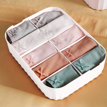 옷장수납함 덮개형 플라스틱 속옷 양말 수납함 속옷 양말 다용도 리빙박스 정리노하우 드레스룸정리 덮개형 옷방정리 옷장정리방법 수납정리함 원룸꾸미기 속옷정리함 방정리옷장수납 장롱정리 붙박이장정리 드레스룸정리 옷수납정리, 10칸 그린, 10칸 그린