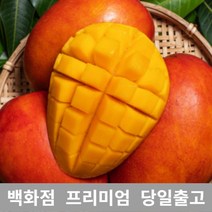 애플망고 4.5kg 애플망고 쥬스 대용량 과일 열대 망고 430400EA, 1, 본상품선택