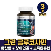 그린 글루코사민 황산염 비타민 초록입홍합 상어연골 분말 함유 캡슐 정타입 먹는방법, 3통, 120정