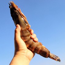 킹타이거 새우 ( 왕새우 ) 블랙타이거 대왕 새우구이 스테이크용, 킹타이거새우 (26cm 180g내외) 1미