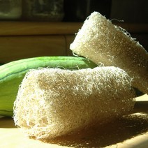 대한민국 국내산 천연수세미농장 디엠지팜 -못난이 수세미/ 낱개 5~10cm 커팅 수세미 /넓적하게 최적화 수세미, 천연수세미 낱개(5~10cm커팅)