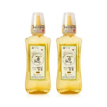 (메카몰) 강원양봉 허니드림 사양벌꿀 500g / 허니쉼 벌꿀, 2개