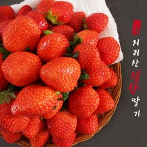 GAP 지리산 산청 설향 딸기 중품 상품 특품 1kg, 상품 1kg (60과 내외) - 가정용