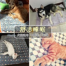 미니담요 강아지낮잠담요 고양이낮잠방석 고양이매트침대 두꺼운미니담요 고양이반려견방석 고양이극세사이불 고양이사계절용이불 고양이소품방석 미니소품담요 고양이사계절용매트, 카발자국 양면으로 3단 571x54cm 사용 가능