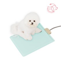 마이또 팻럽 반려동물 전용 전기 온열매트, 네모, 민트