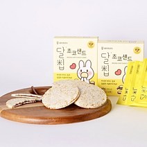 네이처오다 달칩 초코샌드, 48g, 10개