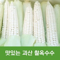 괴산 대학찰옥수수 특상품 Corn 괴산 대학찰옥수수 괴산찰옥수수 괴산 옥수수 괴산대하찰옥수수 대학찰옥수수 괴산옥수수, 괴산 대학 찰옥수수, 5개