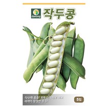 작두콩씨앗 30립, 단품없음