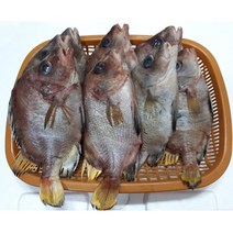 딱돔 군평선이 선물세트 금품생이 목포딱돔 금풍선이 샛서방고기 (예약주문상품)