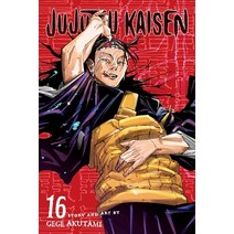 (영문도서) Jujutsu Kaisen Vol. 16: Volume 16 Paperback, Viz Media, English, 9781974728985
