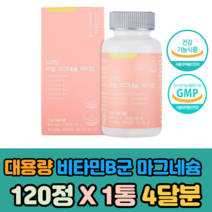 대용량 비타민 비군 B12 D3 메틸코발라민 마그네슘 120정x1통 멀티 활성 신경 근육 뼈 건강 무기질 홈쇼핑 활력 60대 70대 80대 노년 실버 에너지 영양제 보충 관리