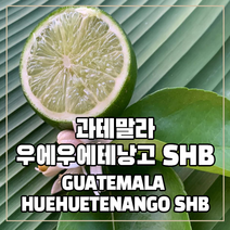 (커피생두) 43 과테말라 우에우에테낭고 SHB 500g, 1개