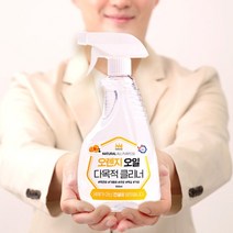 노마인드 다목적 클리너 세정제 주방 가스렌지 후드 청소 기름때 찌든때 제거 550ml, 다목적클리너 1개
