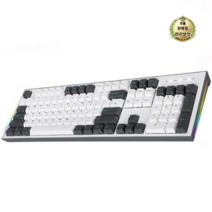 라이브잇 COX 이색사출 사이드 RGB 기계식 키보드 적축, 1세트, CK01PBT, 그레이 + 화이트