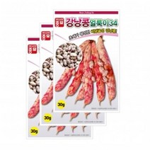 채소씨앗 - 강낭콩씨앗 얼룩이34 강낭콩(30gx3)